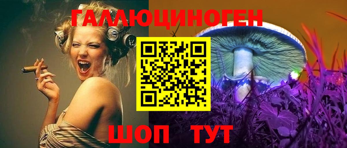 Сергиев Посад  Галлюциногенные грибы Psilocybine cubensis  Вход с VPN 